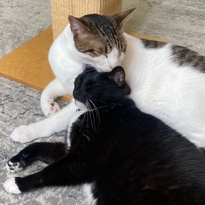 Meet your Posher, Stacy